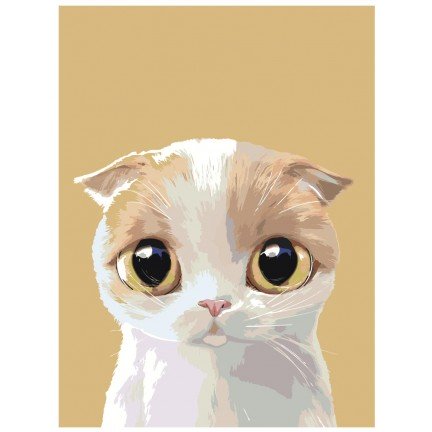 Maalaa numeroilla A511