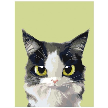 Maalaa numeroilla A513