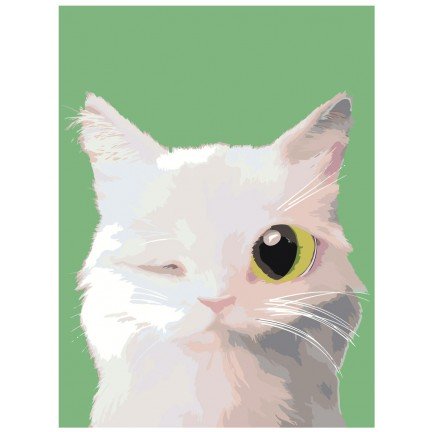 Maalaa numeroilla A553