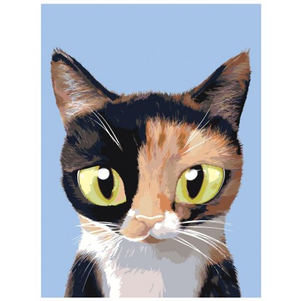 Maalaa numeroilla A555 Maalaa numeroilla A555