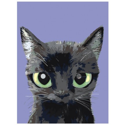 Maalaa numeroilla A556