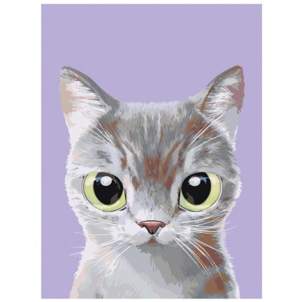 Maalaa numeroilla A558 Maalaa numeroilla A558