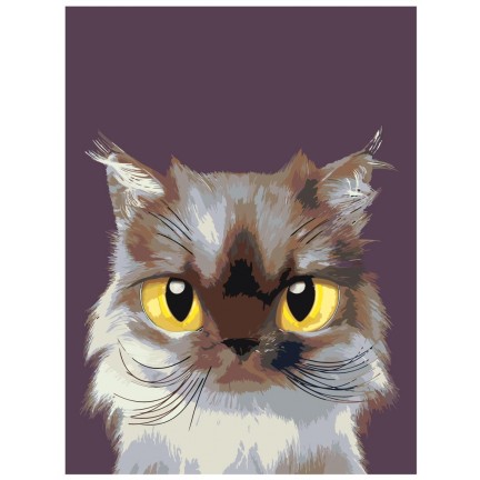 Maalaa numeroilla A560 Maalaa numeroilla A560