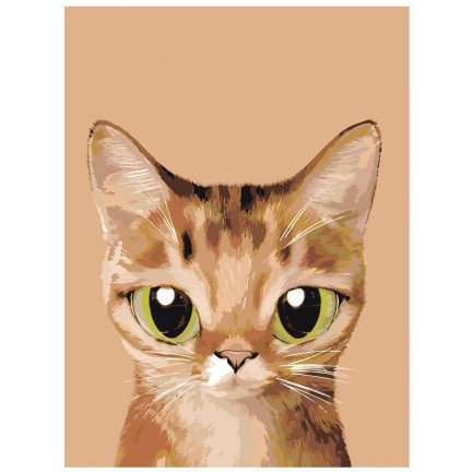 Maalaa numeroilla A561