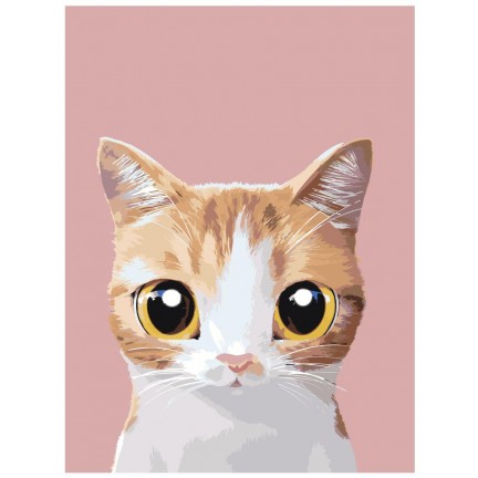 Maalaa numeroilla A563