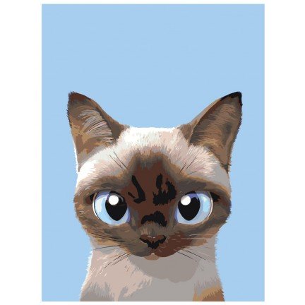 Maalaa numeroilla A564 Maalaa numeroilla A564