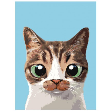 Maalaa numeroilla A565 Maalaa numeroilla A565