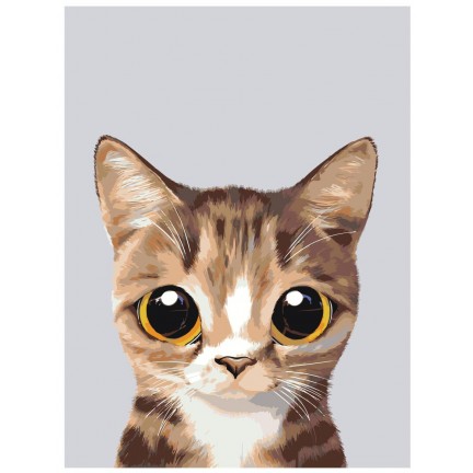 Maalaa numeroilla A567 Maalaa numeroilla A567