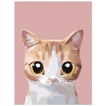 Maalaa numeroilla A568