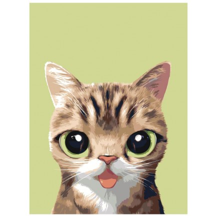 Maalaa numeroilla A571