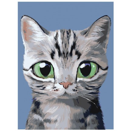 Maalaa numeroilla A579