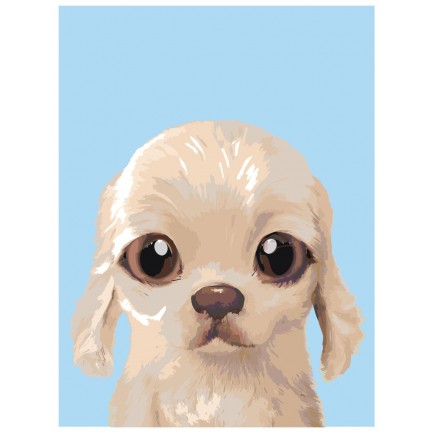 Maalaa numeroilla A583