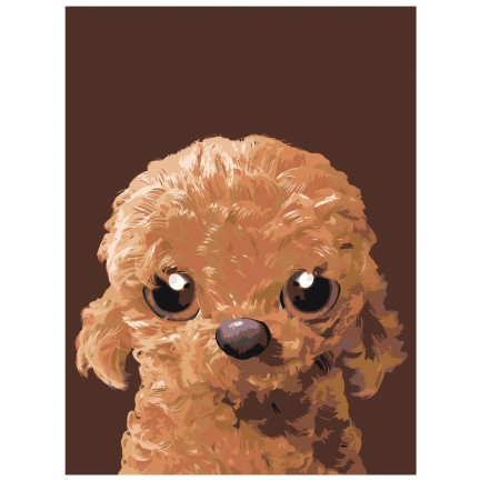 Maalaa numeroilla A586 Maalaa numeroilla A586