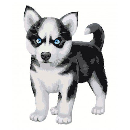 Maalaa numeroilla A592