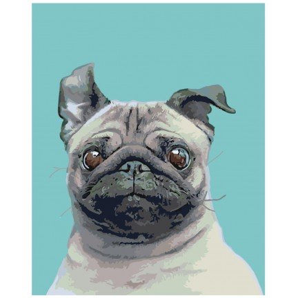 Maalaa numeroilla A593 Maalaa numeroilla A593