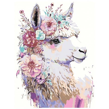 Maalaa numeroilla A5II-30AF048