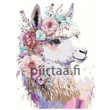 Maalaa numeroilla A5II-30AF048