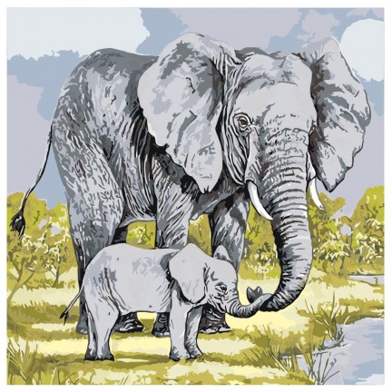 Maalaa numeroilla A5II-40AF035 Maalaa numeroilla A5II-40AF035