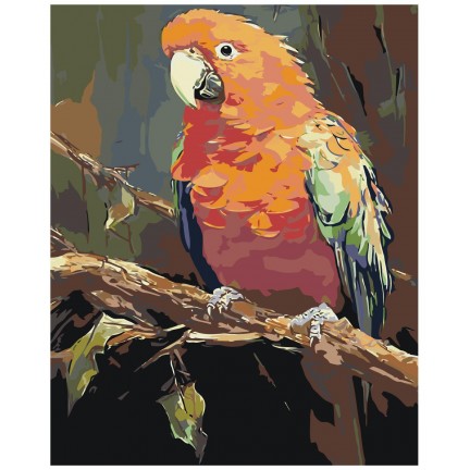 Maalaa numeroilla A5II-AF1473