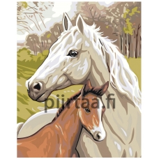 Maalaa numeroilla A5II-GX33101