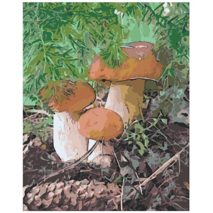 Maalaa numeroilla A5II-IF397 Maalaa numeroilla A5II-IF397