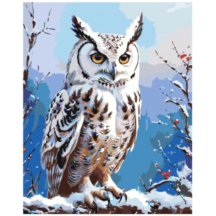 Maalaa numeroilla A5II-IF485