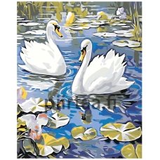 Maalaa numeroilla A5II-JP242