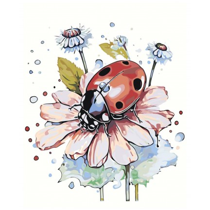 Maalaa numeroilla A5II-NK41