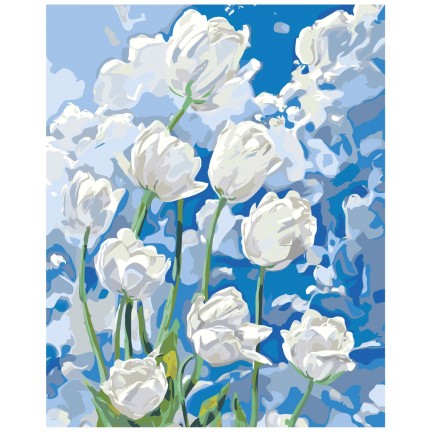 Maalaa numeroilla A5II-NK534