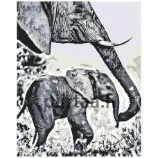 Maalaa numeroilla A5II-NK55