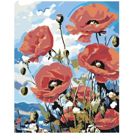 Maalaa numeroilla A5II-NK600 Maalaa numeroilla A5II-NK600