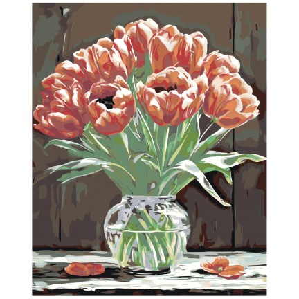 Maalaa numeroilla A5II-NK641