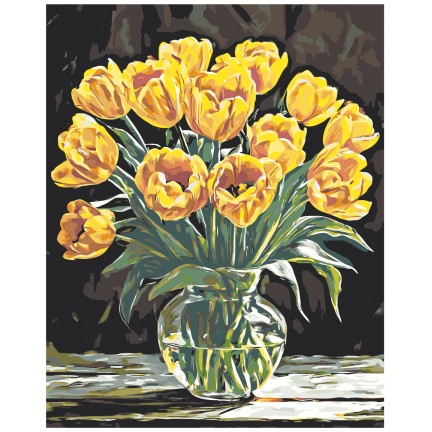 Maalaa numeroilla A5II-NK643