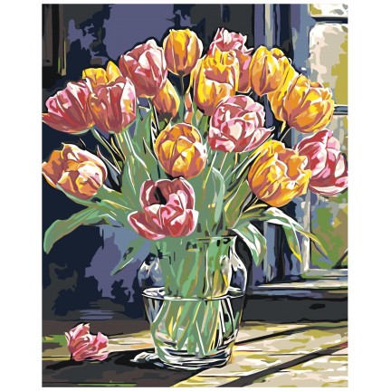 Maalaa numeroilla A5II-NK644