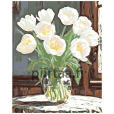 Maalaa numeroilla A5II-NK646