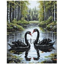 Maalaa numeroilla A5II-SN66