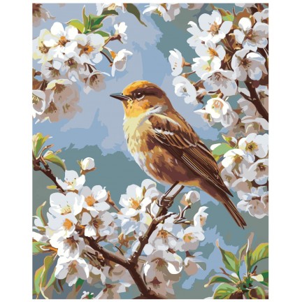 Maalaa numeroilla A5II-SN91