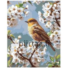 Maalaa numeroilla A5II-SN91