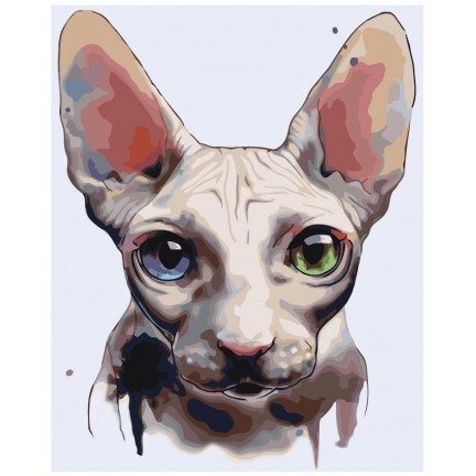 Maalaa numeroilla A606