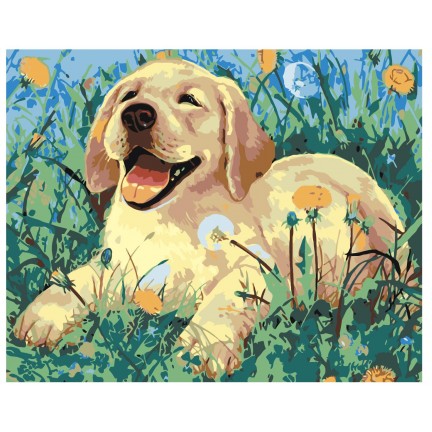 Maalaa numeroilla A61 Maalaa numeroilla A61