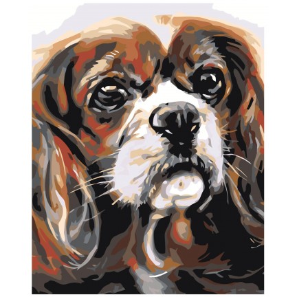 Maalaa numeroilla A66