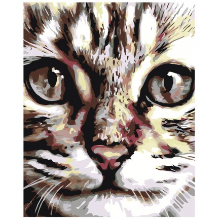 Maalaa numeroilla A67 Maalaa numeroilla A67