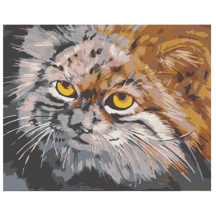 Maalaa numeroilla A84