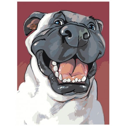 Maalaa numeroilla A97 Maalaa numeroilla A97