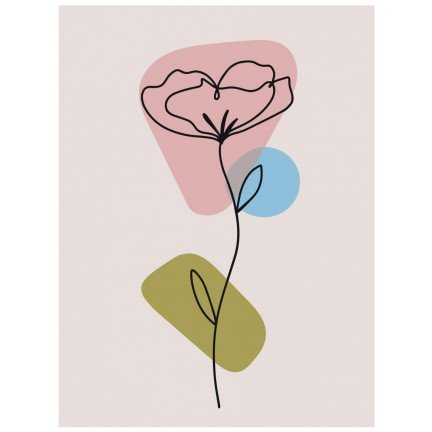 Maalaa numeroilla AAAA-C4036