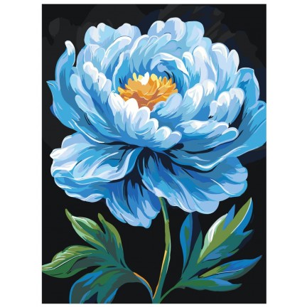 Maalaa numeroilla AAAA-NK024