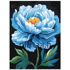 Maalaa numeroilla AAAA-NK024