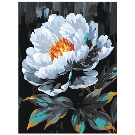 Maalaa numeroilla AAAA-NK025 Maalaa numeroilla AAAA-NK025