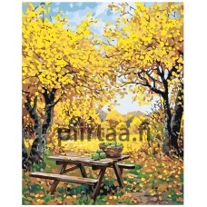 Maalaa numeroilla AAAA-NK1046