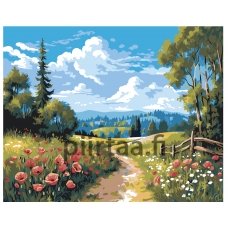 Maalaa numeroilla AAAA-NK538